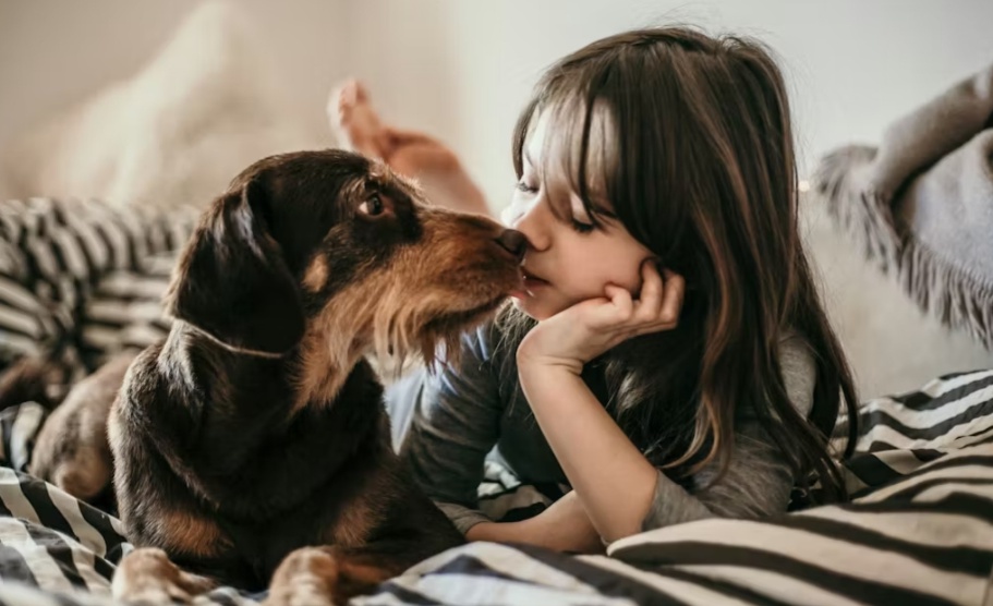 Why Some Animals Naturally Connect Well With Kids