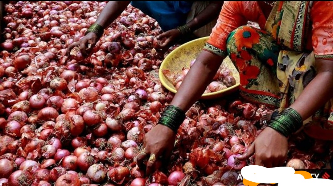 Maharashtra Onion Crisis: Farmers Forced to Sell at ₹1/kg, Congress Slams Government Over Price Crash