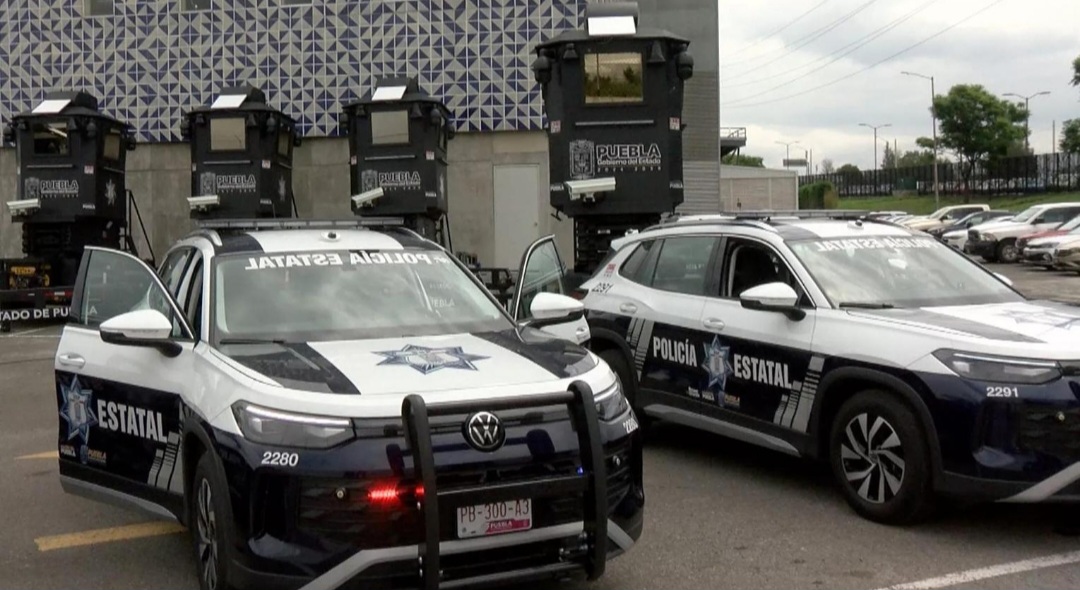 Bloodbath in Mexico: Gunmen Storm Family Celebration, 10 Killed in Brutal Midnight Massacre