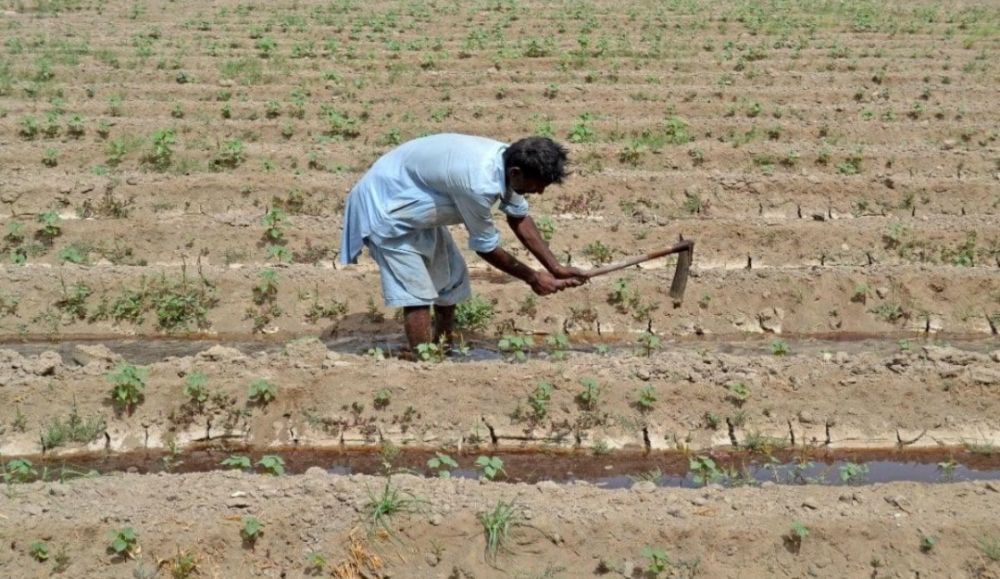 Severe Water Crisis Hits Sindh and Balochistan, Raising Regional Concerns