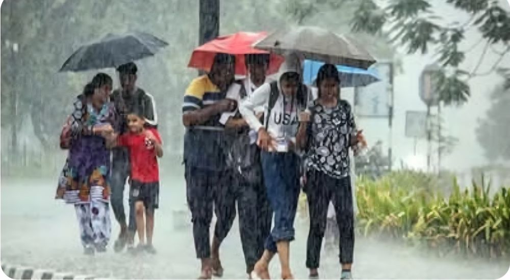 Heavy Rains Lash Karnataka's Shivamogga; Schools and Colleges Shut in Several Taluks