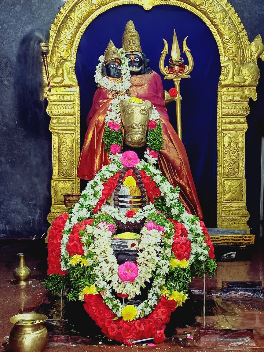 Thousands of devotees throng Uppal Velugu Gutta temple on rare Maha Shiva Yoga