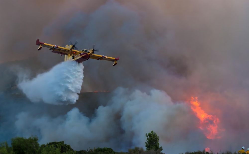 Wildfire Scorches 800 Hectares of France's Fontainebleau Forest