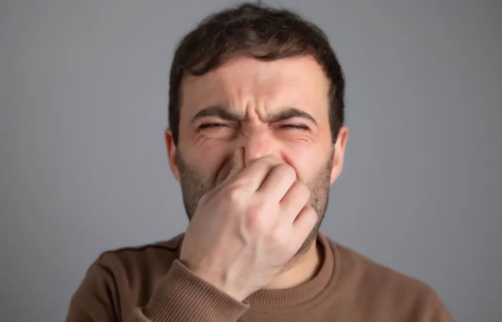 Science Explains Daily Flatulence: Which Age Group Passes Gas the Most?