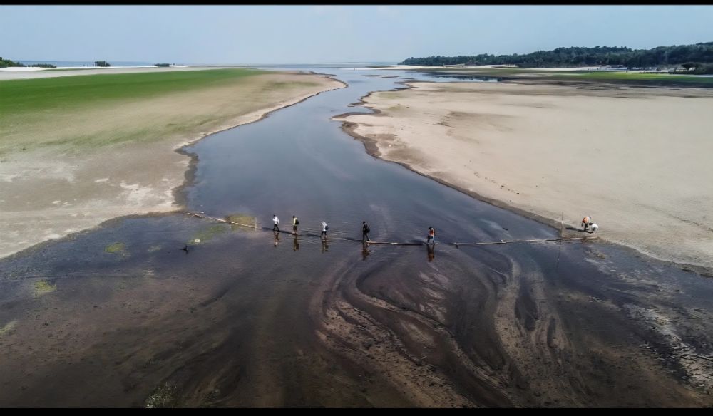 Amazon Crisis: Are the Amazon Rivers Drying Up Due to El Niño? Severe Crisis in Indigenous Villages
