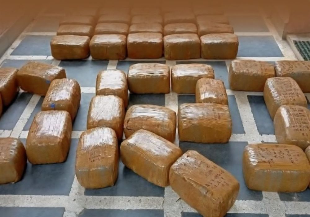 DRI Drug Crackdown: 740 Kg Cannabis, Charas Seized Across India; 13 Arrested